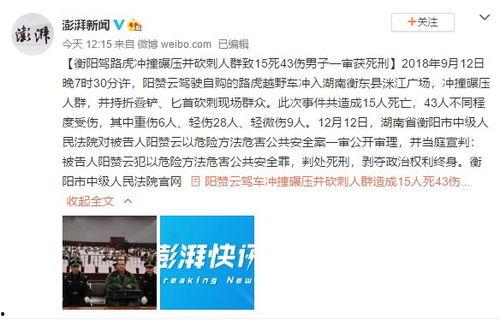 新城最新爆料新闻事件视频,揭秘新闻事件背后惊人真相